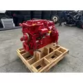 CUMMINS B6.7 Engine Assembly thumbnail 5