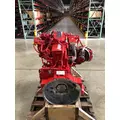 CUMMINS B6.7 Engine thumbnail 3