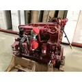 CUMMINS B6.7 Engine thumbnail 4