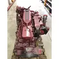 CUMMINS B6.7 Engine thumbnail 6