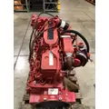 CUMMINS B6.7 Engine thumbnail 6