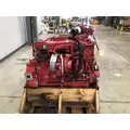 CUMMINS B6.7 Engine thumbnail 3