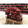 CUMMINS B6.7 Engine thumbnail 5