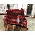 CUMMINS B6.7 Engine thumbnail 4