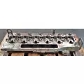 CUMMINS C8.3 Cylinder Head thumbnail 2