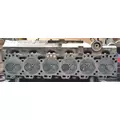 CUMMINS C8.3 Cylinder Head thumbnail 5