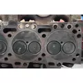 CUMMINS C8.3 Cylinder Head thumbnail 8