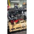 CUMMINS C8.3 Engine Assembly thumbnail 2
