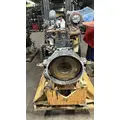 CUMMINS C8.3 Engine Assembly thumbnail 3