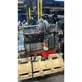 CUMMINS C8.3 Engine Assembly thumbnail 4