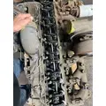 CUMMINS C8.3 Engine Assembly thumbnail 5