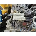 CUMMINS C8.3 Engine Assembly thumbnail 10