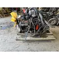 CUMMINS C8.3 Engine Assembly thumbnail 15