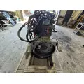 CUMMINS C8.3 Engine Assembly thumbnail 18