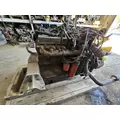 CUMMINS C8.3 Engine Assembly thumbnail 23