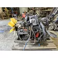 CUMMINS C8.3 Engine Assembly thumbnail 7