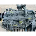 CUMMINS C8.3 Engine Assembly thumbnail 2