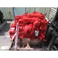 CUMMINS ISB 4569 ENGINE ASSEMBLY thumbnail 12
