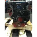 CUMMINS ISB-CR-6.7 CYLINDER BLOCK thumbnail 2