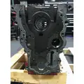 CUMMINS ISB-CR-6.7 CYLINDER BLOCK thumbnail 4