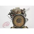 CUMMINS ISB5.9 Engine Assembly thumbnail 4