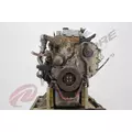 CUMMINS ISB5.9 Engine Assembly thumbnail 8