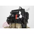 CUMMINS ISB5.9 Engine Assembly thumbnail 8