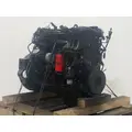 CUMMINS ISB5.9 Engine Assembly thumbnail 7
