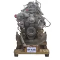 CUMMINS ISB5.9 Engine Assembly thumbnail 17