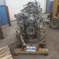 CUMMINS ISB5.9 Engine Assembly thumbnail 5
