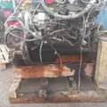 CUMMINS ISB5.9 Engine Assembly thumbnail 7