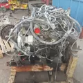 CUMMINS ISB5.9 Engine Assembly thumbnail 9