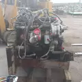 CUMMINS ISB5.9 Engine Assembly thumbnail 12
