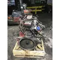 CUMMINS ISB6.7 Engine Assembly thumbnail 4