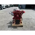 CUMMINS ISB6.7 Engine Assembly thumbnail 5