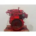 CUMMINS ISB6.7 Engine Assembly thumbnail 4