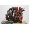 CUMMINS ISB6.7 Engine Assembly thumbnail 7