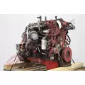 CUMMINS ISB6.7 Engine Assembly thumbnail 8