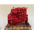CUMMINS ISB6.7 Engine Assembly thumbnail 6