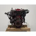 CUMMINS ISB6.7 Engine Assembly thumbnail 8