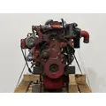 CUMMINS ISB6.7 Engine Assembly thumbnail 8
