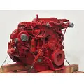 CUMMINS ISB6.7 Engine Assembly thumbnail 7