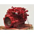 CUMMINS ISB6.7 Engine Assembly thumbnail 7