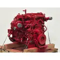 CUMMINS ISB6.7 Engine Assembly thumbnail 7