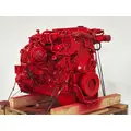 CUMMINS ISB6.7 Engine Assembly thumbnail 7