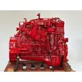 CUMMINS ISB6.7 Engine Assembly thumbnail 6