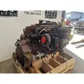 CUMMINS ISB6.7 Engine Assembly thumbnail 3