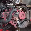 CUMMINS ISB6.7 Engine Assembly thumbnail 18