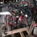 CUMMINS ISB6.7 Engine Assembly thumbnail 20