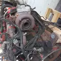 CUMMINS ISB6.7 Engine Assembly thumbnail 15